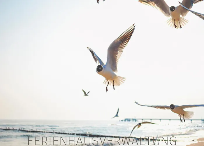 Sonnendeck Ulstrupfeld
